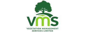 VMS logo